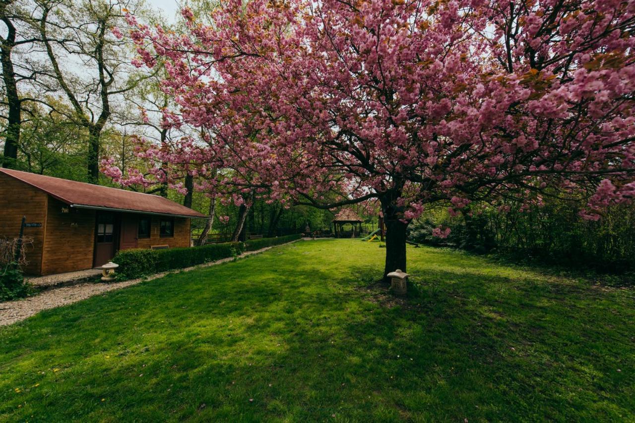 Shubu Zen Vendeghaz Hotel Szilvásvárad Exterior foto