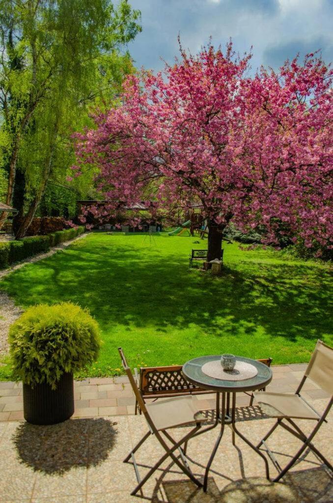 Shubu Zen Vendeghaz Hotel Szilvásvárad Exterior foto